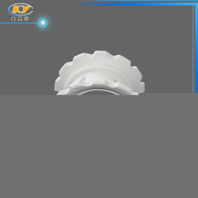 陶瓷異鞍環(huán)